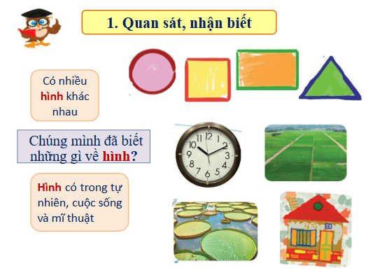 Giáo án điện tử Mĩ thuật lớp 1 Cánh diều Bài 17: Cùng nhau ôn tập học kì 2 | PPT Mĩ thuật 1