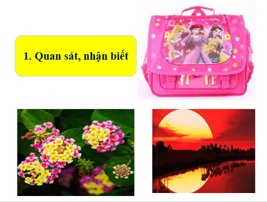Giáo án điện tử Mĩ thuật lớp 1 Cánh diều Bài 2: Màu sắc quanh em | PPT Mĩ thuật 1