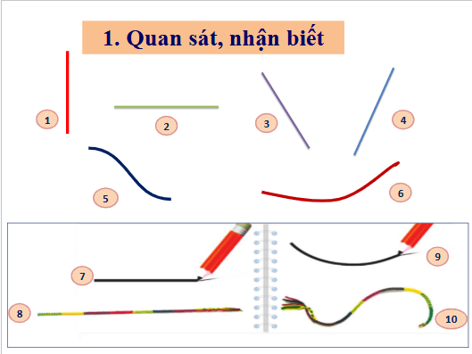 Giáo án điện tử Mĩ thuật lớp 1 Cánh diều Bài 4: Nét thẳng, nét cong | PPT Mĩ thuật 1