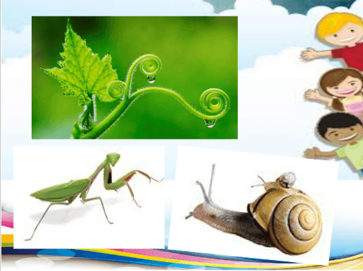 Giáo án điện tử Mĩ thuật lớp 1 Cánh diều Bài 5: Nét gấp khúc, nét xoắn ốc | PPT Mĩ thuật 1