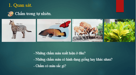 Giáo án điện tử Mĩ thuật lớp 1 Kết nối tri thức Chủ đề 2: Sáng tạo từ những chấm màu | PPT Mĩ thuật 1