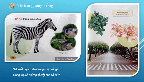 Giáo án điện tử Mĩ thuật lớp 1 Kết nối tri thức Chủ đề 3: Nét vẽ của em | PPT Mĩ thuật 1