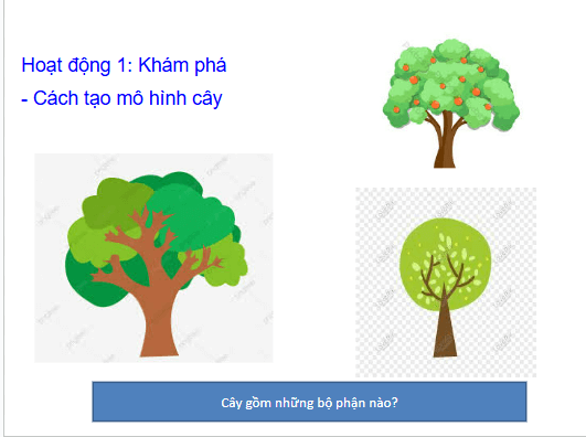 Giáo án điện tử Mĩ thuật lớp 3 Chân trời sáng tạo Bài 1: Cây trong vườn | PPT Mĩ thuật 3