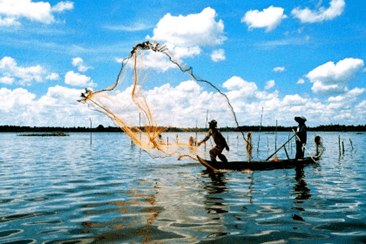 Giáo án Mĩ thuật lớp 4 Kết nối tri thức Chủ đề 4: Vẻ đẹp trong cuộc sống