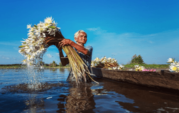 Giáo án Mĩ thuật lớp 4 Kết nối tri thức Chủ đề 4: Vẻ đẹp trong cuộc sống