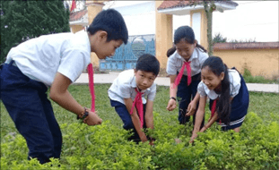 Giáo án Mĩ thuật lớp 4 Kết nối tri thức Chủ đề 7: Môi trường xanh - sạch - đẹp