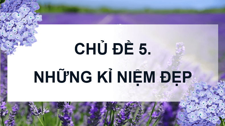 Giáo án điện tử Mĩ thuật lớp 4 Kết nối tri thức Chủ đề 5: Những kỉ niệm đẹp | PPT Mĩ thuật 4