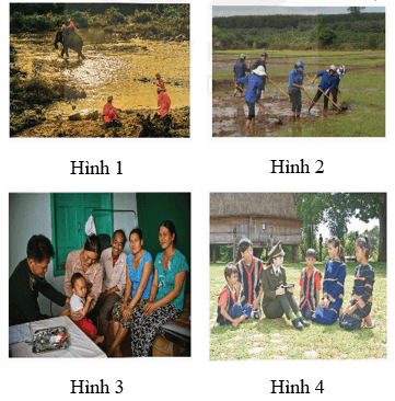 Giáo án Mĩ thuật lớp 5 Kết nối tri thức Chủ đề 5: Những việc làm bình dị mà cao quý trong cuộc sống