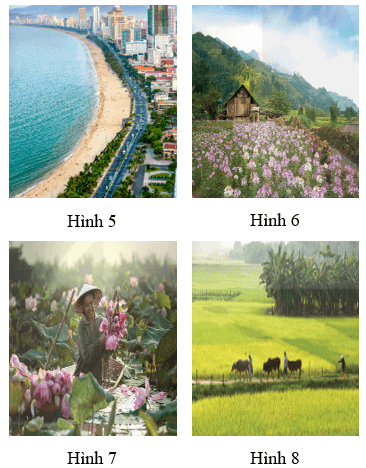 Giáo án Mĩ thuật lớp 5 Kết nối tri thức Chủ đề 6: Cảnh sắc quê hương