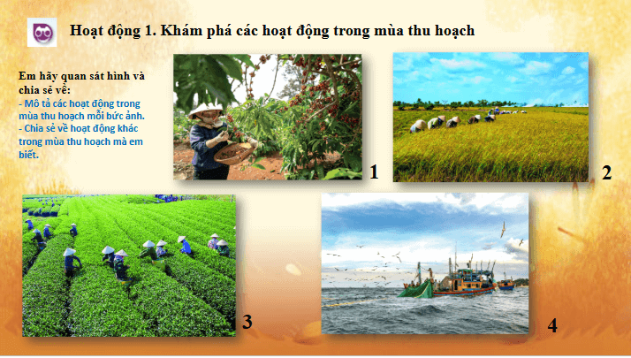 Giáo án điện tử Mĩ thuật lớp 5 Chân trời sáng tạo Bài 1: Mùa thu hoạch | PPT Mĩ thuật 5