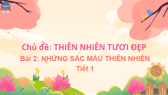 Giáo án điện tử Mĩ thuật lớp 5 Chân trời sáng tạo Bài 2: Những sắc màu thiên nhiên | PPT Mĩ thuật 5