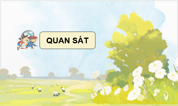Giáo án điện tử Mĩ thuật lớp 5 Kết nối tri thức Chủ đề 5: Những việc làm bình dị mà cao quý trong cuộc sống | PPT Mĩ thuật 5