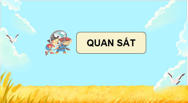 Giáo án điện tử Mĩ thuật lớp 5 Kết nối tri thức Chủ đề 6: Cảnh sắc quê hương | PPT Mĩ thuật 5