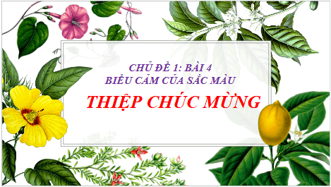Giáo án điện tử Mĩ thuật 6 Chân trời sáng tạo Bài 4: Thiệp chúc mừng | PPT Mĩ thuật 6