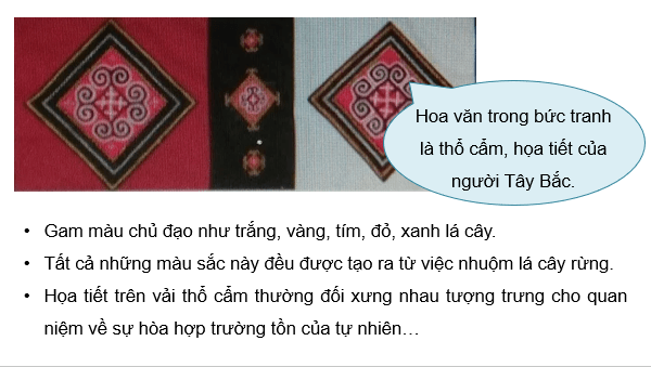 Giáo án điện tử Mĩ thuật 8 Kết nối tri thức Bài 4: Thiết kế trang phục với hoa văn dân tộc thiểu số | PPT Mĩ thuật 8