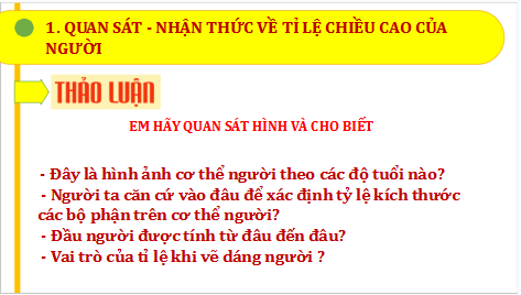 Giáo án điện tử Mĩ thuật 9 Chân trời sáng tạo Bài 1: Vẽ kí hoạ dáng người | PPT Mĩ thuật 9