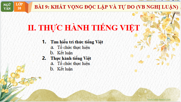 Giáo án điện tử bài Thực hành tiếng Việt trang 100 Tập 2 | PPT Văn 10 Chân trời sáng tạo