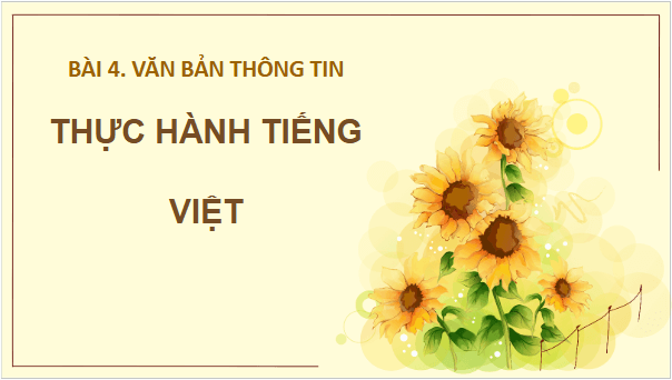 Giáo án điện tử bài Thực hành tiếng Việt trang 104 | PPT Văn 10 Cánh diều