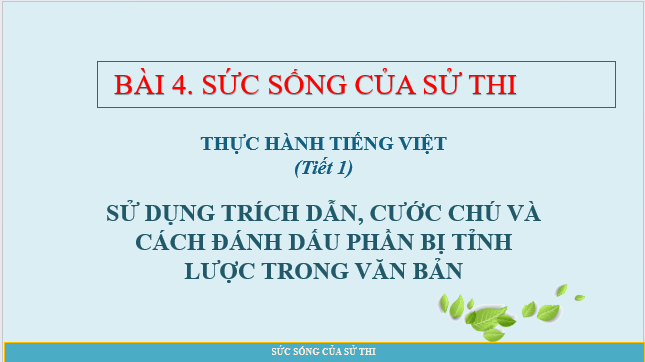 Giáo án điện tử bài Thực hành tiếng Việt trang 112 | PPT Văn 10 Kết nối tri thức