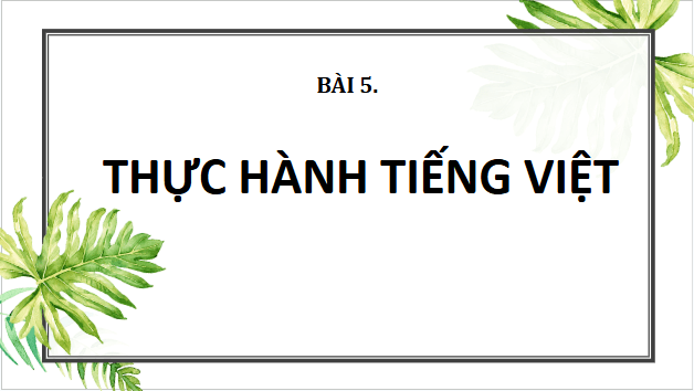 Giáo án điện tử bài Thực hành tiếng Việt trang 20 Tập 2 | PPT Văn 10 Cánh diều