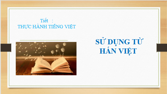 Giáo án điện tử bài Thực hành tiếng Việt trang 26 Tập 2 | PPT Văn 10 Kết nối tri thức