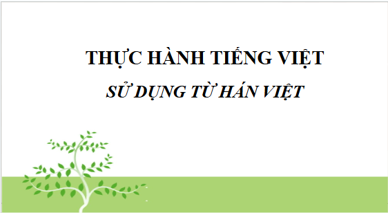 Giáo án điện tử bài Thực hành tiếng Việt trang 28 | PPT Văn 10 Kết nối tri thức