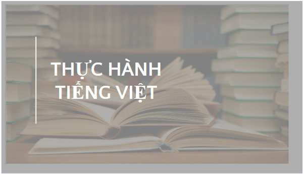 Giáo án điện tử bài Thực hành tiếng Việt trang 58 | PPT Văn 10 Kết nối tri thức