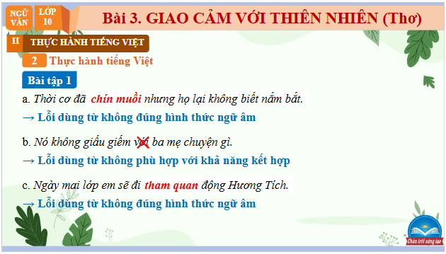 Giáo án điện tử bài Thực hành tiếng Việt trang 71 | PPT Văn 10 Chân trời sáng tạo