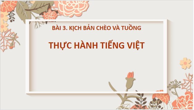 Giáo án điện tử bài Thực hành tiếng Việt trang 80 | PPT Văn 10 Cánh diều