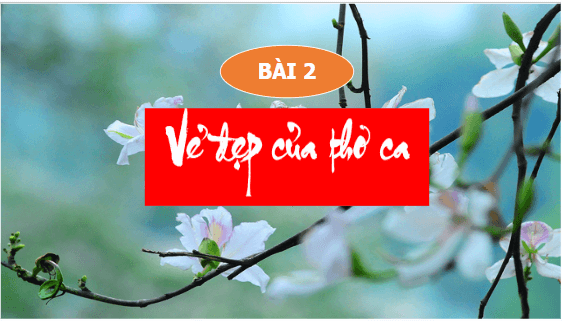 Giáo án điện tử bài Tri thức ngữ văn trang 43 | PPT Văn 10 Kết nối tri thức