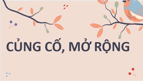 Giáo án điện tử bài Củng cố, mở rộng trang 48 | PPT Văn 11 Kết nối tri thức