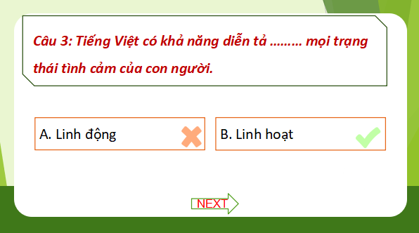 Giáo án điện tử bài Thực hành tiếng Việt trang 136 Tập 2 | PPT Văn 11 Cánh diều