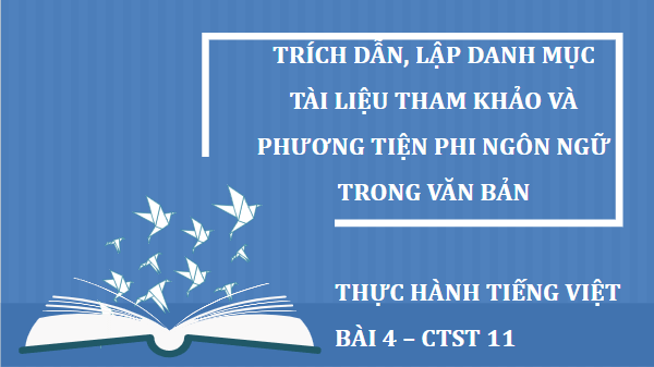 Giáo án điện tử bài Thực hành tiếng Việt trang 95 | PPT Văn 11 Chân trời sáng tạo