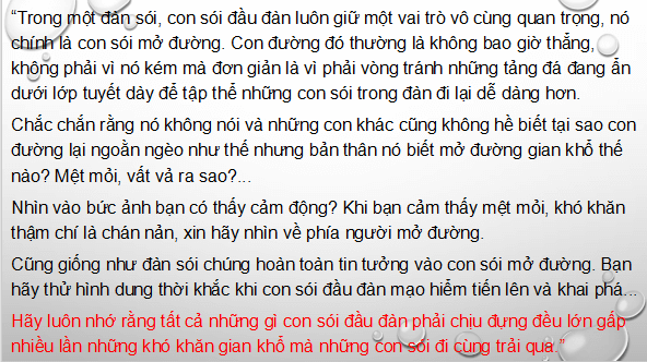 Giáo án điện tử bài Trái tim Đan-kô | PPT Văn 11 Cánh diều