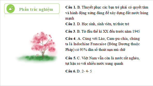 Giáo án điện tử bài Thế hệ trẻ cần có quyết tâm lớn và phải biết hành động | PPT Văn 11 Cánh diều