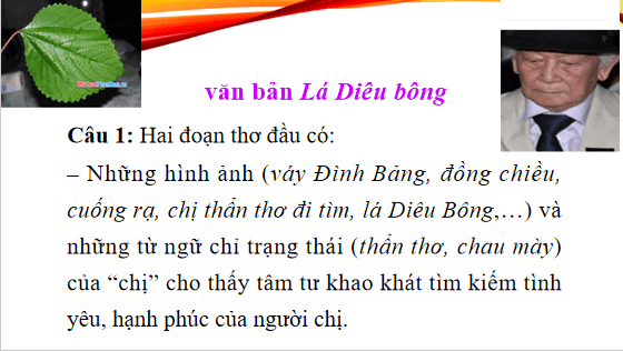 Giáo án điện tử bài Lá Diêu Bông | PPT Văn 12 Chân trời sáng tạo
