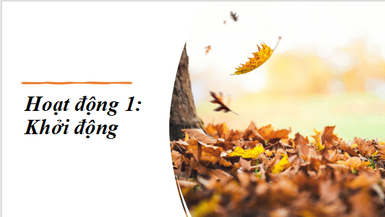 Giáo án điện tử bài Phụ nữ và việc bảo vệ môi trường | PPT Văn 12 Cánh diều
