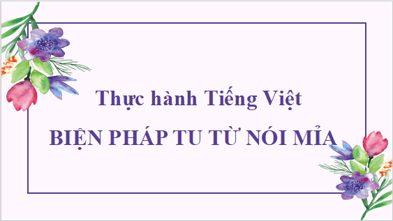 Giáo án điện tử bài Thực hành tiếng Việt trang 25 Tập 2 | PPT Văn 12 Cánh diều