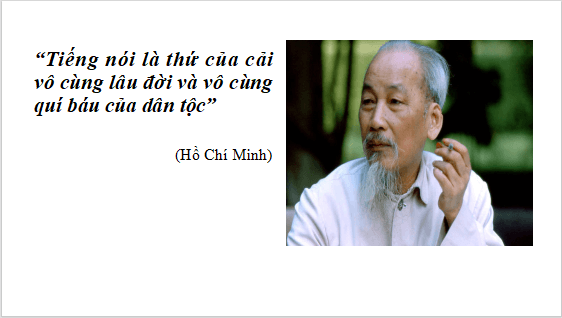 Giáo án điện tử bài Thực hành tiếng Việt trang 74 Tập 2 | PPT Văn 12 Cánh diều