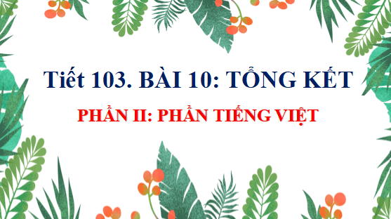 Giáo án điện tử bài Tổng kết tiếng Việt | PPT Văn 12 Cánh diều