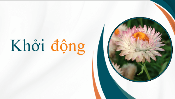 Giáo án điện tử bài Xuân Diệu | PPT Văn 12 Chân trời sáng tạo