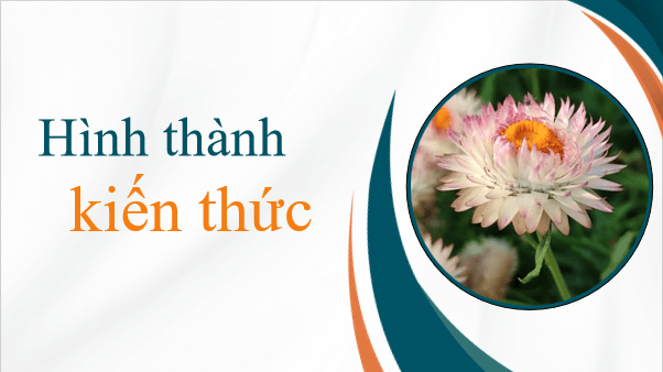 Giáo án điện tử bài Xuân Diệu | PPT Văn 12 Chân trời sáng tạo