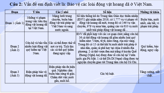 Giáo án điện tử bài Củng cố, mở rộng lớp 6 trang 94 | PPT Văn 6 Kết nối tri thức