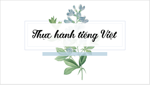 Giáo án điện tử bài Thực hành tiếng Việt lớp 6 trang 113 | PPT Văn 6 Kết nối tri thức