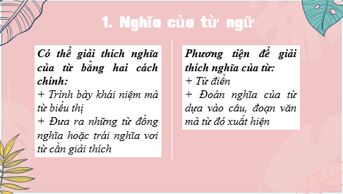Giáo án điện tử bài Thực hành tiếng Việt lớp 6 trang 43 | PPT Văn 6 Kết nối tri thức