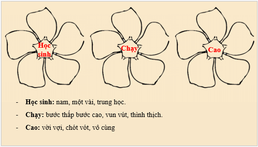 Giáo án điện tử bài Thực hành tiếng Việt lớp 6 trang 66 | PPT Văn 6 Kết nối tri thức