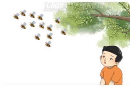 Giáo án bài Thương nhớ bầy ong - Giáo án Ngữ văn lớp 6