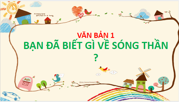 Giáo án điện tử bài Bạn đã biết gì về sóng thần? | PPT Văn 8 Chân trời sáng tạo