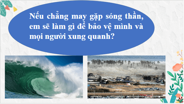 Giáo án điện tử bài Bạn đã biết gì về sóng thần? | PPT Văn 8 Chân trời sáng tạo