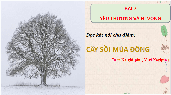 Giáo án điện tử bài Cây sồi mùa đông | PPT Văn 8 Chân trời sáng tạo